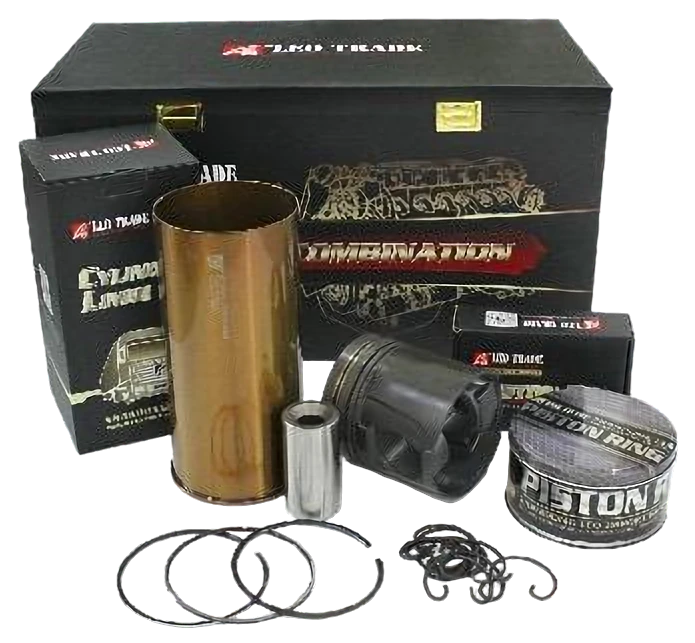 Genuine LEO cylinder combination