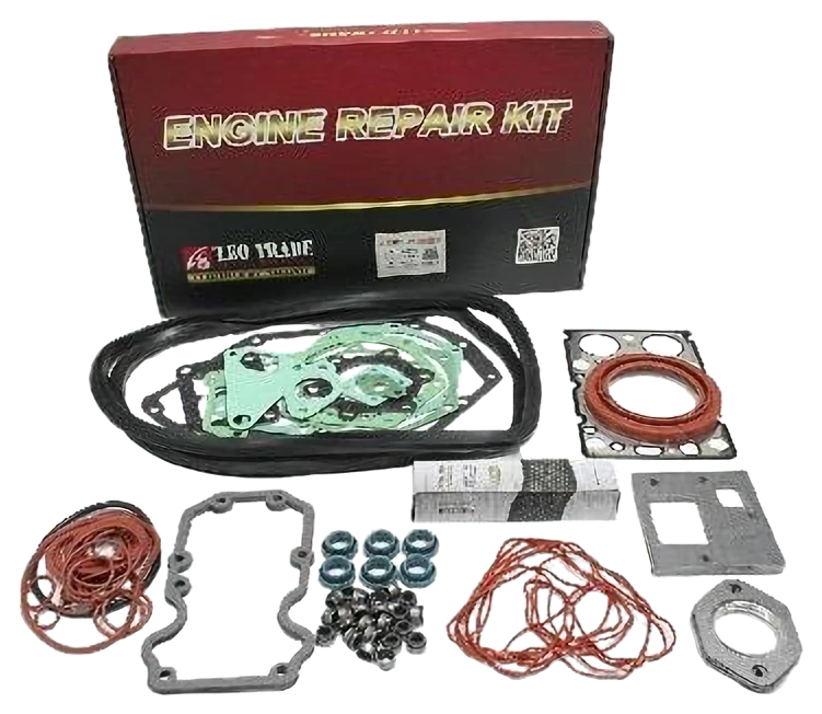 Genuine LEO engine repair kit